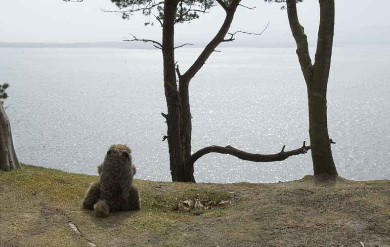 According to Marmite: 'There I was, gazing out over Poole Harbour, imagining that I was Cortez seeing the Pacific for the first time. I was muttering some half-remembered lines about being silent upon a peak, in Darien, when a passer-by asked if I liked Keats. I replied that I'd never tried one, but wouldn't mind a bun.'